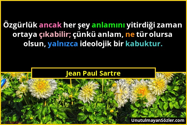 Jean Paul Sartre - Özgürlük ancak her şey anlamını yitirdiği zaman ortaya çıkabilir; çünkü anlam, ne tür olursa olsun, yalnızca ideolojik bir kabuktur...