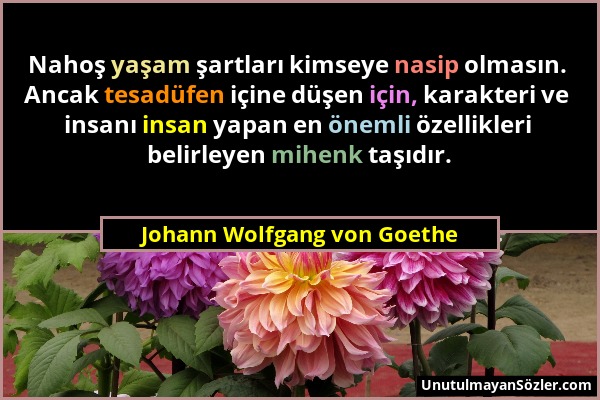 Johann Wolfgang von Goethe - Nahoş yaşam şartları kimseye nasip olmasın. Ancak tesadüfen içine düşen için, karakteri ve insanı insan yapan en önemli ö...