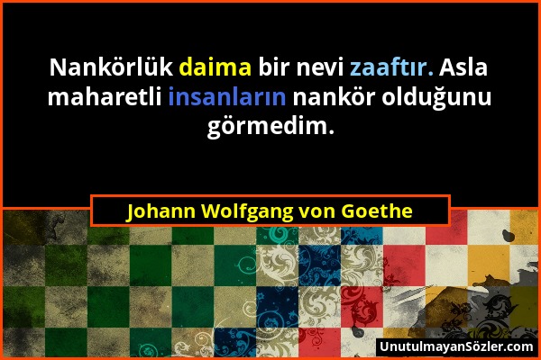 Johann Wolfgang von Goethe - Nankörlük daima bir nevi zaaftır. Asla maharetli insanların nankör olduğunu görmedim....