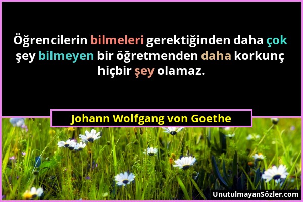 Johann Wolfgang von Goethe - Öğrencilerin bilmeleri gerektiğinden daha çok şey bilmeyen bir öğretmenden daha korkunç hiçbir şey olamaz....