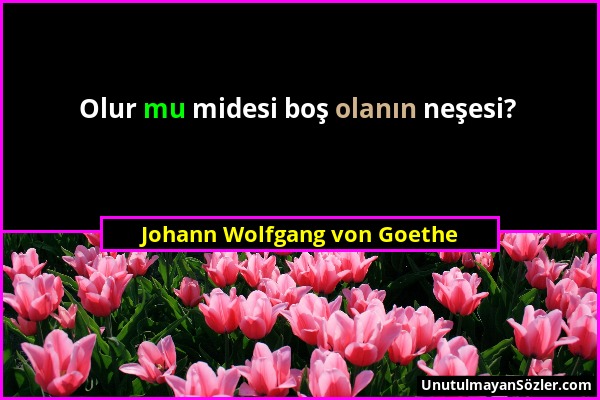 Johann Wolfgang von Goethe - Olur mu midesi boş olanın neşesi?...