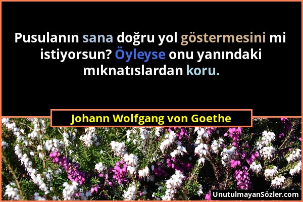 Johann Wolfgang von Goethe - Pusulanın sana doğru yol göstermesini mi istiyorsun? Öyleyse onu yanındaki mıknatıslardan koru....