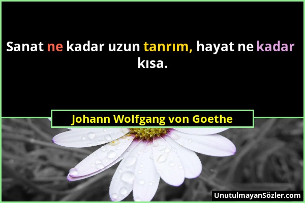 Johann Wolfgang von Goethe - Sanat ne kadar uzun tanrım, hayat ne kadar kısa....