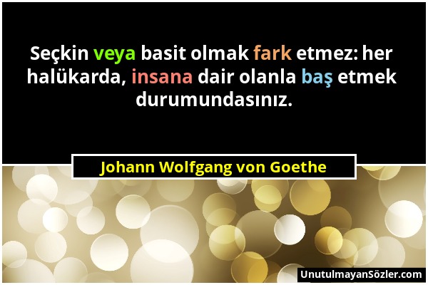 Johann Wolfgang von Goethe - Seçkin veya basit olmak fark etmez: her halükarda, insana dair olanla baş etmek durumundasınız....