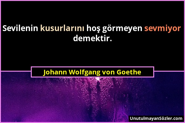 Johann Wolfgang von Goethe - Sevilenin kusurlarını hoş görmeyen sevmiyor demektir....