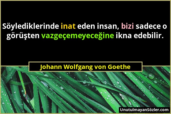 Johann Wolfgang von Goethe - Söylediklerinde inat eden insan, bizi sadece o görüşten vazgeçemeyeceğine ikna edebilir....