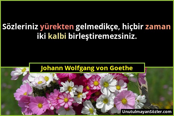 Johann Wolfgang von Goethe - Sözleriniz yürekten gelmedikçe, hiçbir zaman iki kalbi birleştiremezsiniz....