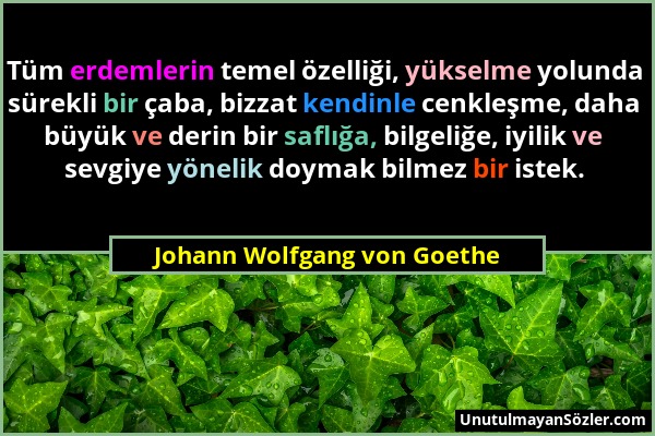 Johann Wolfgang von Goethe - Tüm erdemlerin temel özelliği, yükselme yolunda sürekli bir çaba, bizzat kendinle cenkleşme, daha büyük ve derin bir safl...