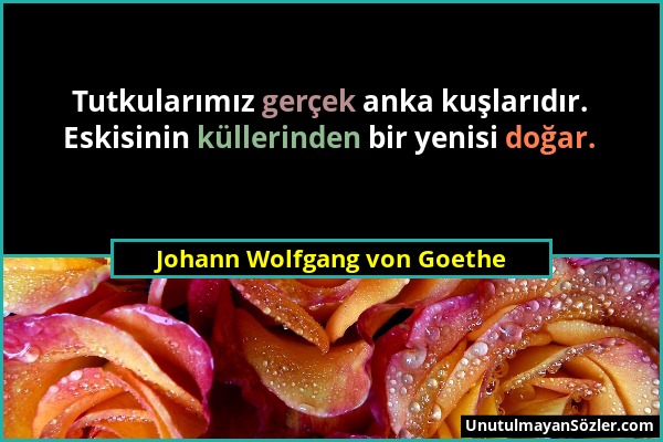 Johann Wolfgang von Goethe - Tutkularımız gerçek anka kuşlarıdır. Eskisinin küllerinden bir yenisi doğar....