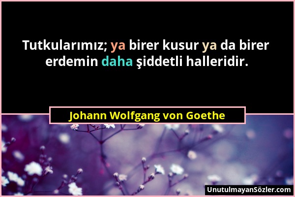 Johann Wolfgang von Goethe - Tutkularımız; ya birer kusur ya da birer erdemin daha şiddetli halleridir....