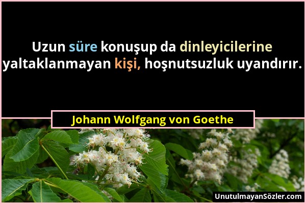 Johann Wolfgang von Goethe - Uzun süre konuşup da dinleyicilerine yaltaklanmayan kişi, hoşnutsuzluk uyandırır....