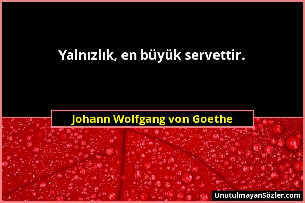 Johann Wolfgang von Goethe - Yalnızlık, en büyük servettir....