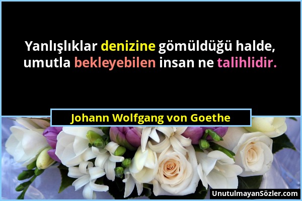 Johann Wolfgang von Goethe - Yanlışlıklar denizine gömüldüğü halde, umutla bekleyebilen insan ne talihlidir....