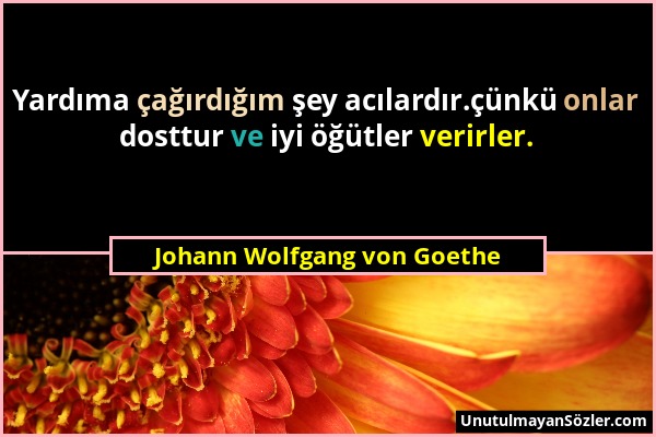 Johann Wolfgang von Goethe - Yardıma çağırdığım şey acılardır.çünkü onlar dosttur ve iyi öğütler verirler....