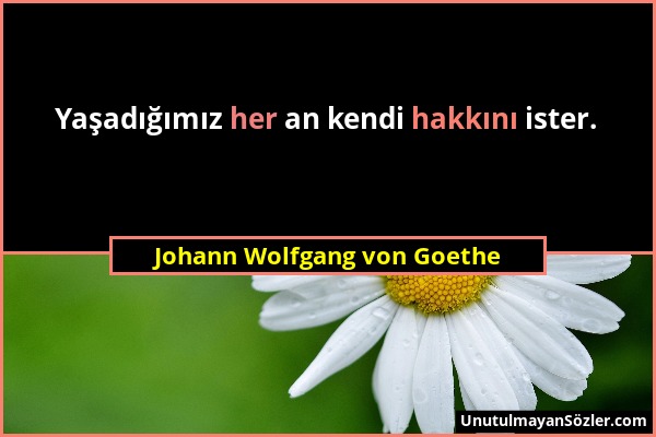 Johann Wolfgang von Goethe - Yaşadığımız her an kendi hakkını ister....