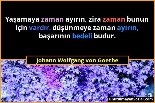 Johann Wolfgang von Goethe - Yaşamaya zaman ayırın, zira zaman bunun için vardır. düşünmeye zaman ayırın, başarının bedeli budur....