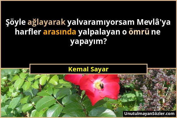 Kemal Sayar - Şöyle ağlayarak yalvaramıyorsam Mevlâ'ya harfler arasında yalpalayan o ömrü ne yapayım?...