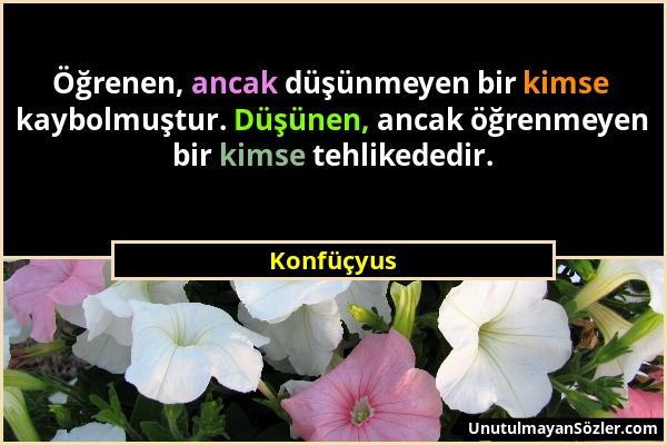 Konfüçyus - Öğrenen, ancak düşünmeyen bir kimse kaybolmuştur. Düşünen, ancak öğrenmeyen bir kimse tehlikededir....