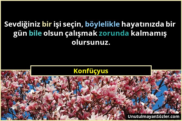 Konfüçyus - Sevdiğiniz bir işi seçin, böylelikle hayatınızda bir gün bile olsun çalışmak zorunda kalmamış olursunuz....