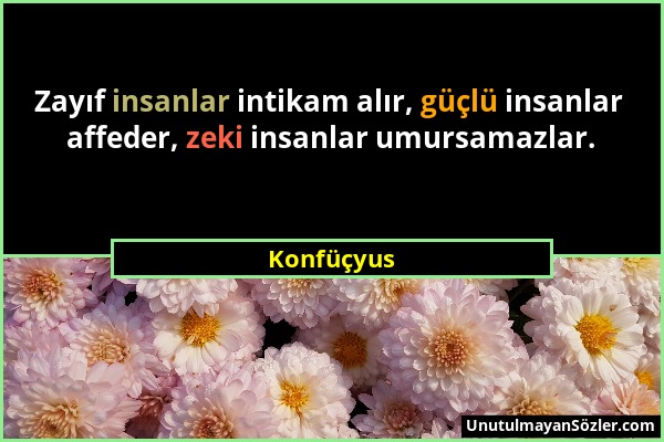 Konfüçyus - Zayıf insanlar intikam alır, güçlü insanlar affeder, zeki insanlar umursamazlar....