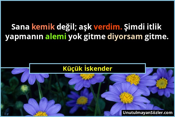 Küçük İskender - Sana kemik değil; aşk verdim. Şimdi itlik yapmanın alemi yok gitme diyorsam gitme....