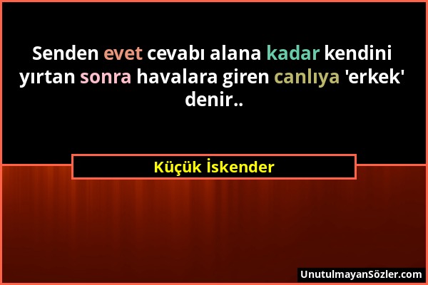 Küçük İskender - Senden evet cevabı alana kadar kendini yırtan sonra havalara giren canlıya 'erkek' denir.....