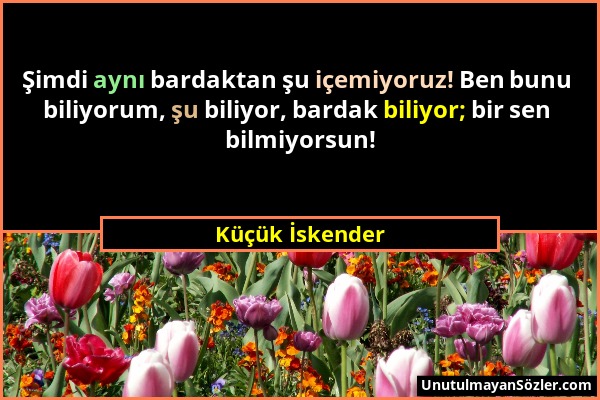 Küçük İskender - Şimdi aynı bardaktan şu içemiyoruz! Ben bunu biliyorum, şu biliyor, bardak biliyor; bir sen bilmiyorsun!...