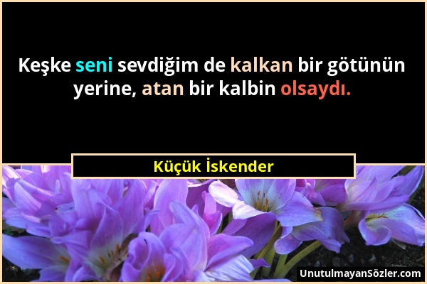 Küçük İskender - Keşke seni sevdiğim de kalkan bir götünün yerine, atan bir kalbin olsaydı....