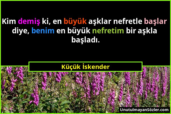 Küçük İskender - Kim demiş ki, en büyük aşklar nefretle başlar diye, benim en büyük nefretim bir aşkla başladı....