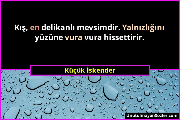 Küçük İskender - Kış, en delikanlı mevsimdir. Yalnızlığını yüzüne vura vura hissettirir....