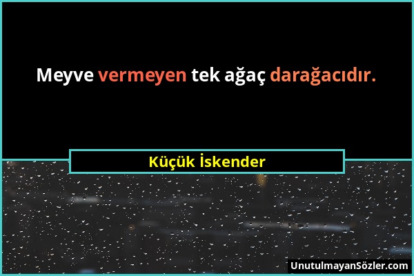 Küçük İskender - Meyve vermeyen tek ağaç darağacıdır....