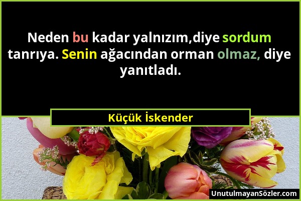 Küçük İskender - Neden bu kadar yalnızım,diye sordum tanrıya. Senin ağacından orman olmaz, diye yanıtladı....