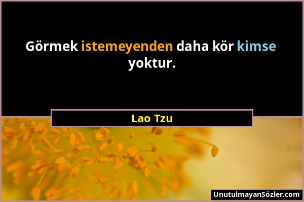 Lao Tzu - Görmek istemeyenden daha kör kimse yoktur....