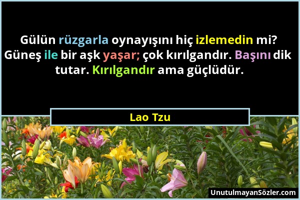 Lao Tzu - Gülün rüzgarla oynayışını hiç izlemedin mi? Güneş ile bir aşk yaşar; çok kırılgandır. Başını dik tutar. Kırılgandır ama güçlüdür....