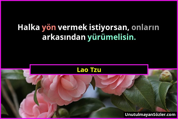 Lao Tzu - Halka yön vermek istiyorsan, onların arkasından yürümelisin....