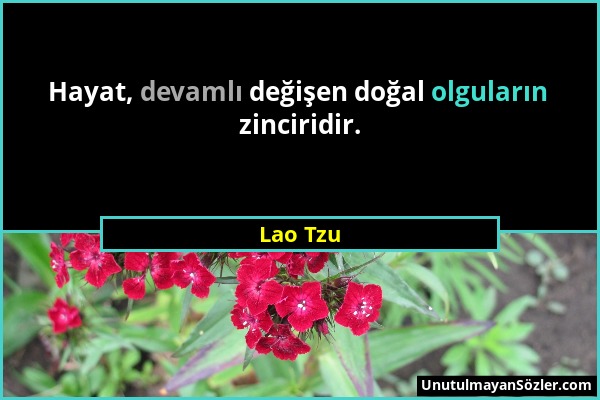 Lao Tzu - Hayat, devamlı değişen doğal olguların zinciridir....