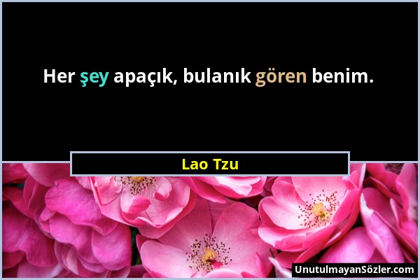 Lao Tzu - Her şey apaçık, bulanık gören benim....