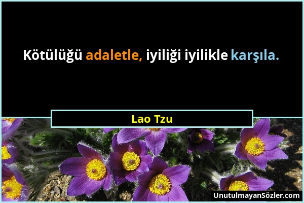 Lao Tzu - Kötülüğü adaletle, iyiliği iyilikle karşıla....