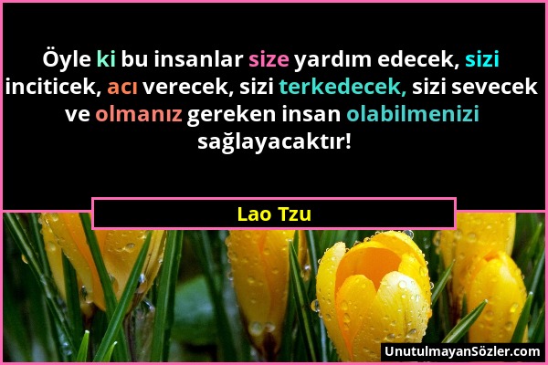 Lao Tzu - Öyle ki bu insanlar size yardım edecek, sizi inciticek, acı verecek, sizi terkedecek, sizi sevecek ve olmanız gereken insan olabilmenizi sağ...