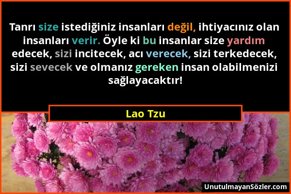 Lao Tzu - Tanrı size istediğiniz insanları değil, ihtiyacınız olan insanları verir. Öyle ki bu insanlar size yardım edecek, sizi incitecek, acı verece...