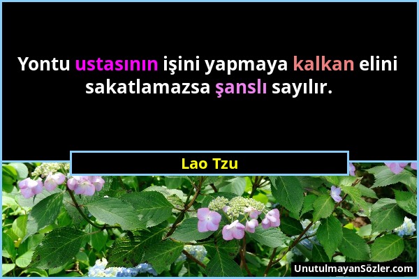 Lao Tzu - Yontu ustasının işini yapmaya kalkan elini sakatlamazsa şanslı sayılır....