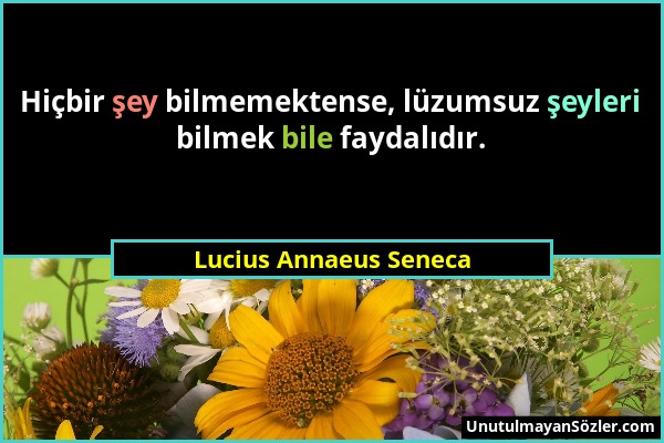 Lucius Annaeus Seneca - Hiçbir şey bilmemektense, lüzumsuz şeyleri bilmek bile faydalıdır....