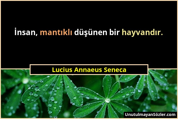 Lucius Annaeus Seneca - İnsan, mantıklı düşünen bir hayvandır....