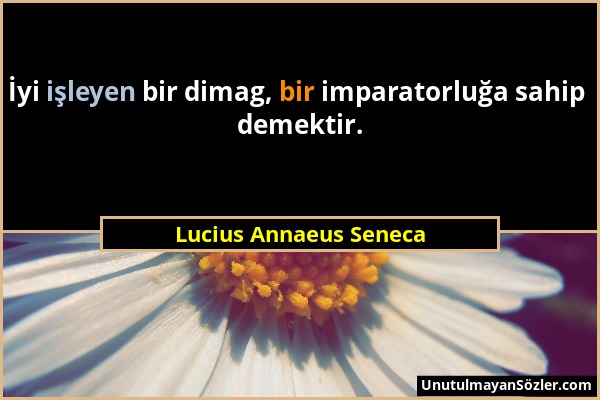 Lucius Annaeus Seneca - İyi işleyen bir dimag, bir imparatorluğa sahip demektir....