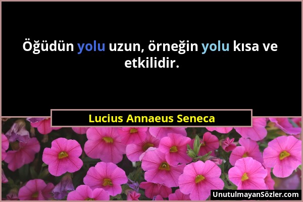 Lucius Annaeus Seneca - Öğüdün yolu uzun, örneğin yolu kısa ve etkilidir....