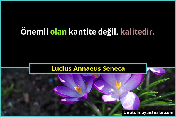 Lucius Annaeus Seneca - Önemli olan kantite değil, kalitedir....