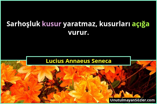 Lucius Annaeus Seneca - Sarhoşluk kusur yaratmaz, kusurları açığa vurur....