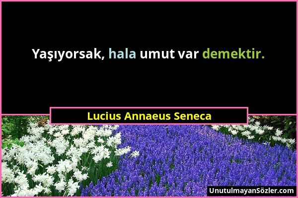 Lucius Annaeus Seneca - Yaşıyorsak, hala umut var demektir....