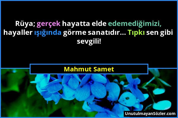 Mahmut Samet - Rüya; gerçek hayatta elde edemediğimizi, hayaller ışığında görme sanatıdır... Tıpkı sen gibi sevgili!...