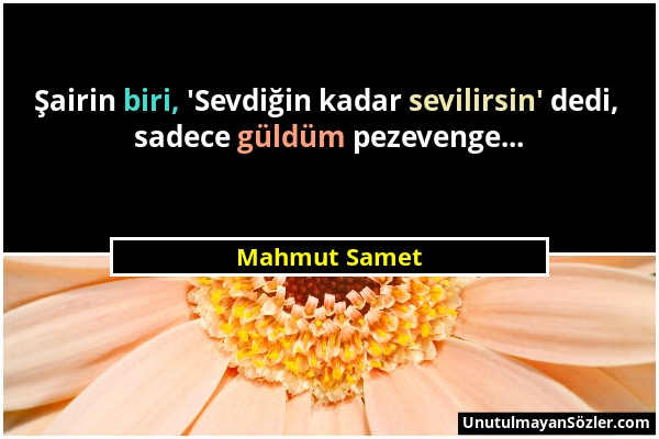 Mahmut Samet - Şairin biri, 'Sevdiğin kadar sevilirsin' dedi, sadece güldüm pezevenge......